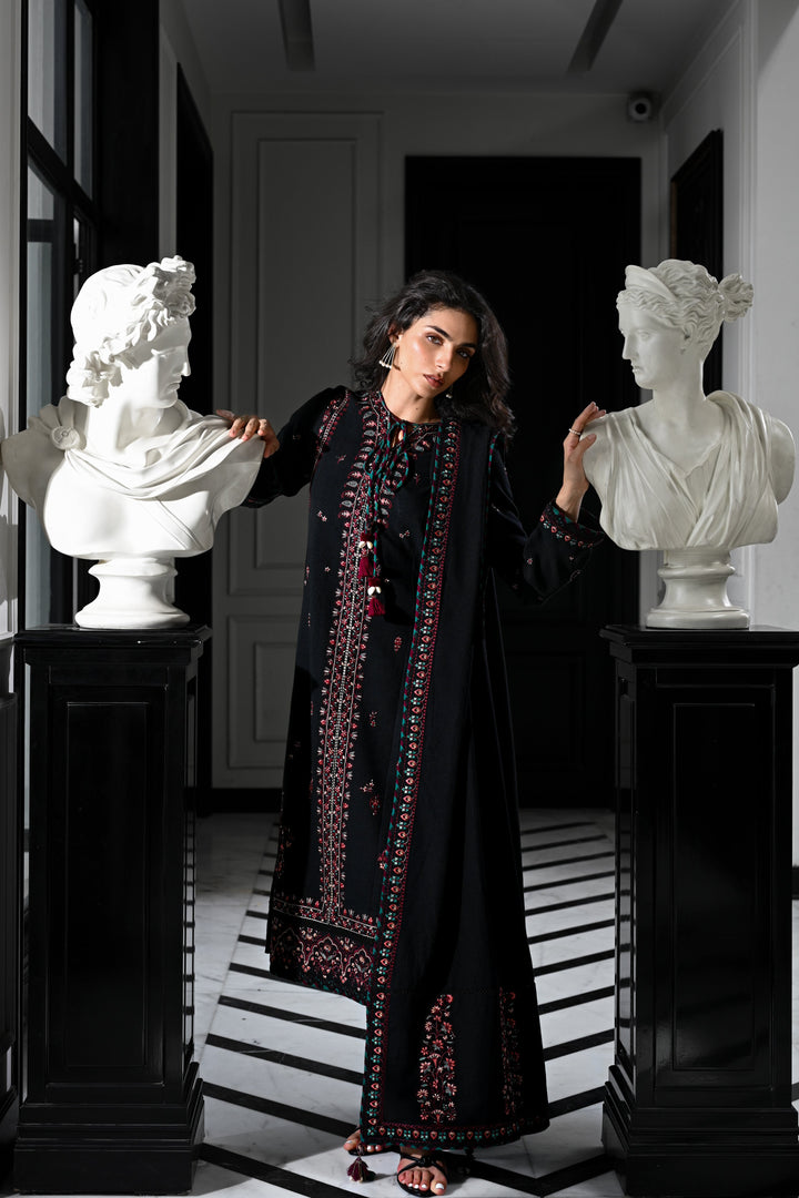 ZAIB - BLACK KASHMIRI LUXURY EMBROIDERED KARANDI SET (NEL-25624)